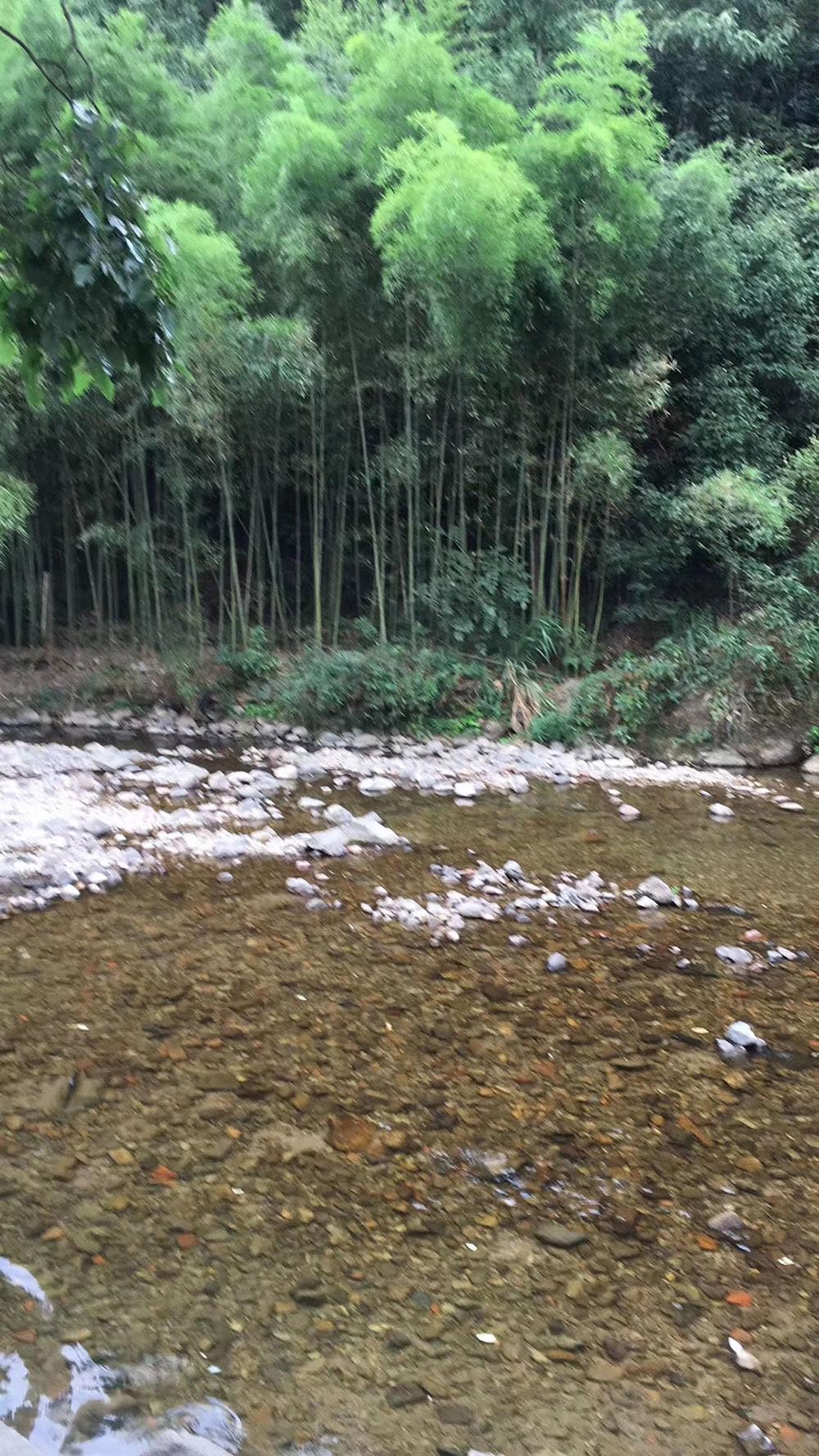 金华市海纳鑫隆汽车内饰件有限公司团建活动之水库游